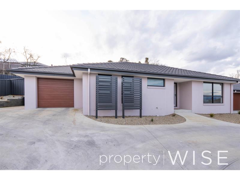 Launceston Houses To Rent at Jill Gibbs blog