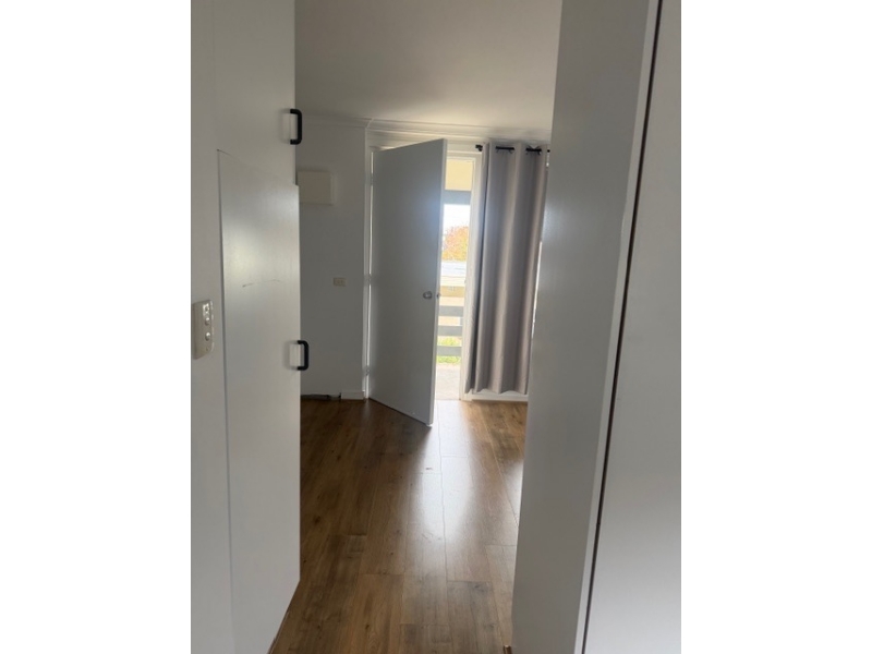 1 Cameron Avenue, Gilles Plains, Gilles Plains - Thumbnail 5