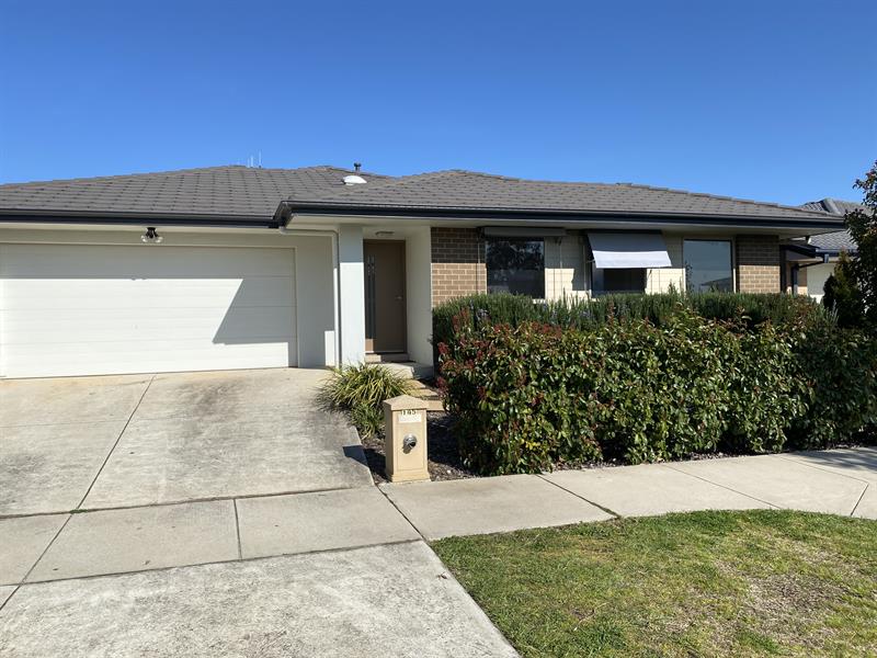 195 Langtree Crescent CRACE ACT 2911