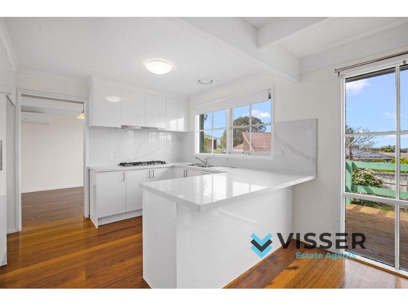 8 Licola Street Vermont South VIC 3133 House for rent Listed by Jacob Visser of Visser Estate