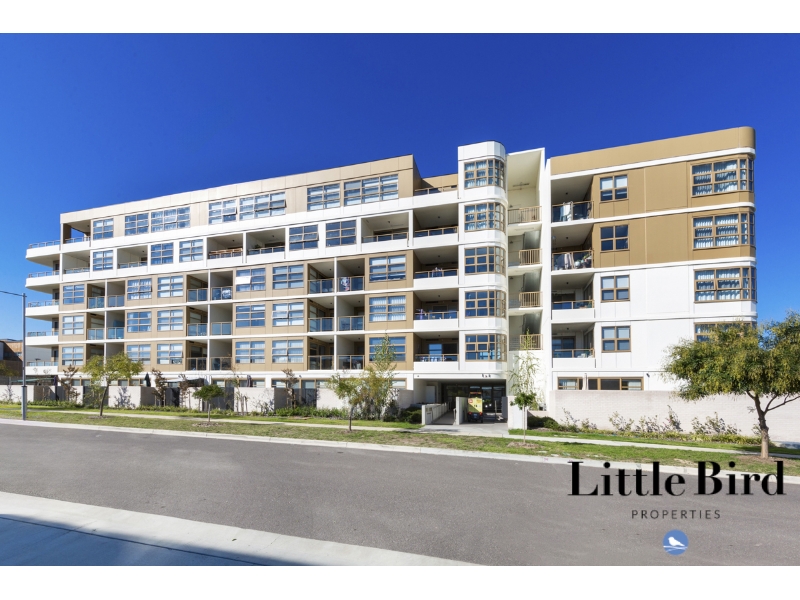 501/43 Arthur Blakeley Way, Coombs Apartment for rent Listed by of