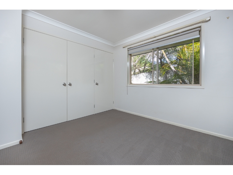 1/5 Parrot Tree Place, Bangalow Apartment for rent Listed by Isabella