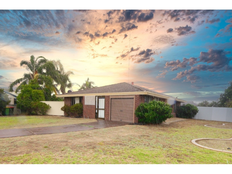 2A Drysdale Street, East Bunbury House for rent Listed by Elders Sdea