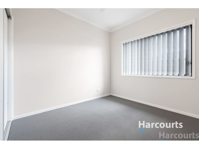 16 Royston Circuit, Farley Townhouse for rent Listed by Maggie