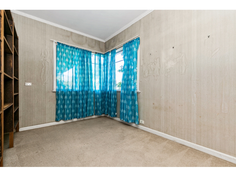 28 Bogong Avenue, Glen Waverley House for rent Listed by David Yang