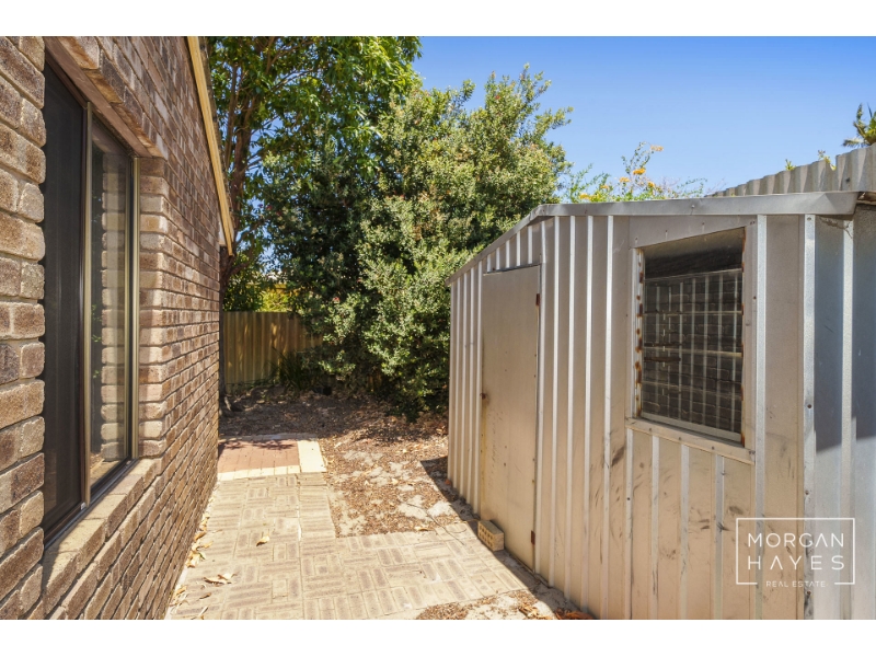 22 Wainwright Close, Willetton House for rent Listed by Property