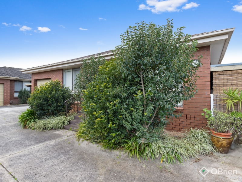 3/11 Stayner Street, Chelsea Apartment for rent Listed by of O'brien