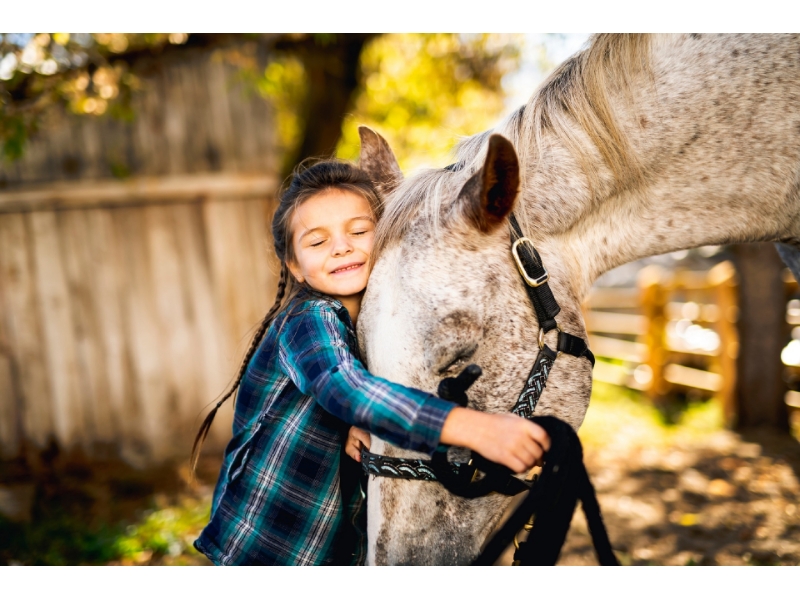 155163 Boorah Road, Jimboomba Property for rent Listed by Barbara