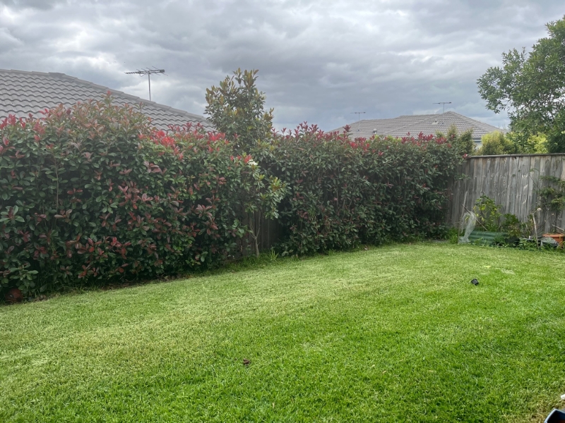 7 Britannia Drive, GLENFIELD House for rent Listed by Michaela Bulut