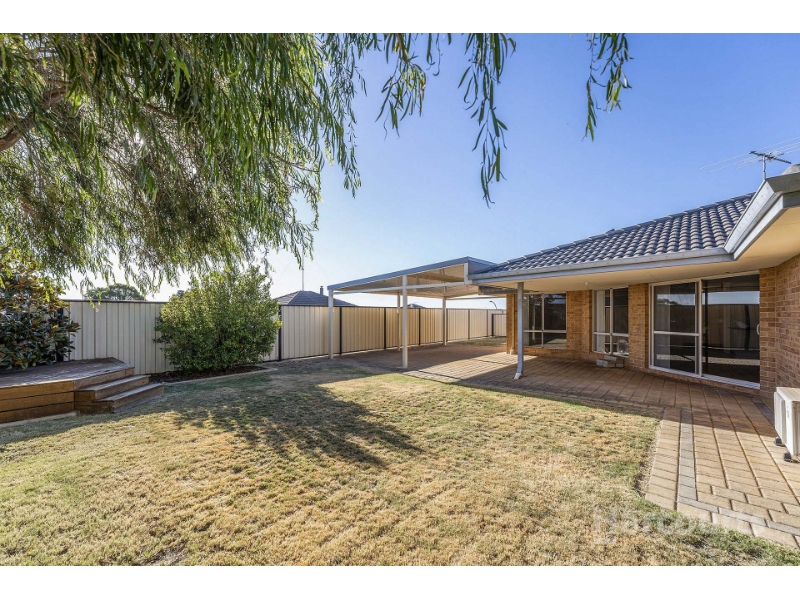 34 Cunderdin Loop, DAWESVILLE House for rent Listed by Stacey Swann