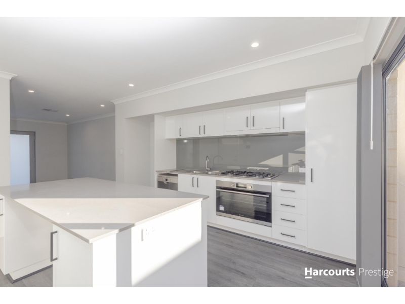4 Papyrus Loop, HARRISDALE House for rent Listed by Harcourts