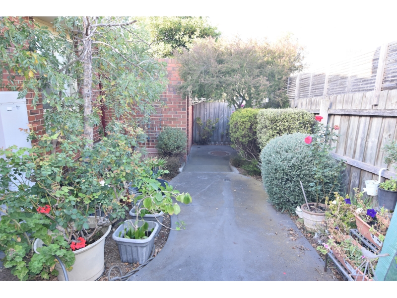 2/231 Mt Pleasant Road, Highton Apartment for rent Listed by Bronte