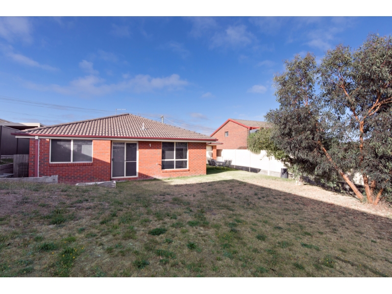 405 Wilson Street, BALLARAT EAST House for rent Listed by Buxton