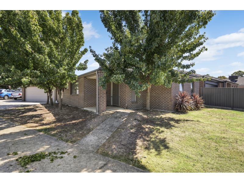 1/8 Carmichael Court, SEBASTOPOL Apartment for rent Listed by Buxton