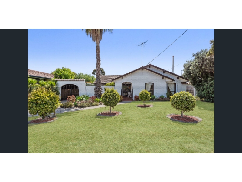 55 Torquay Road BELMONT VIC 3216