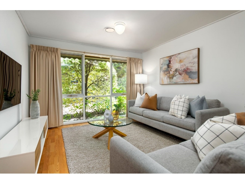 3/19 Laburnum St, Blackburn Apartment for rent Listed by Danielle