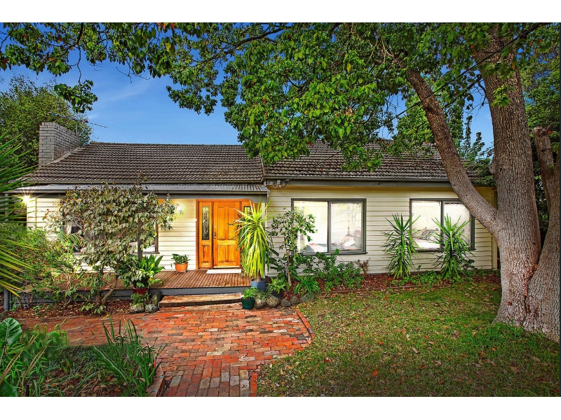 16 Evelyn Road, RINGWOOD NORTH House for rent Listed by Ray White