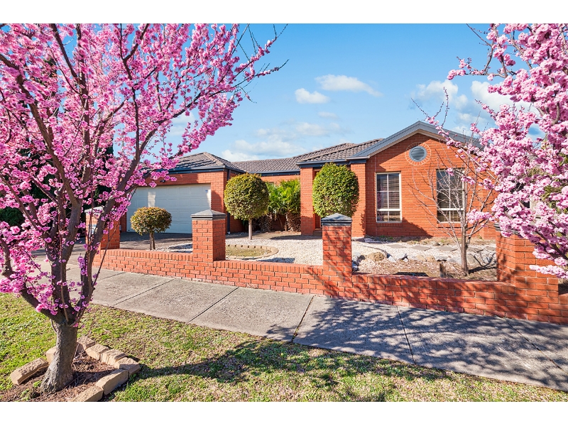 Rental properties & online application form