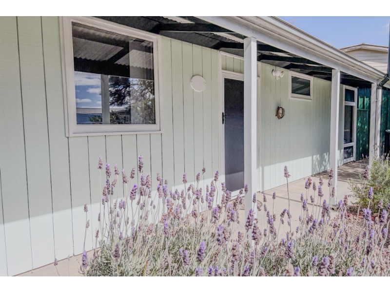 Rental properties & online application form