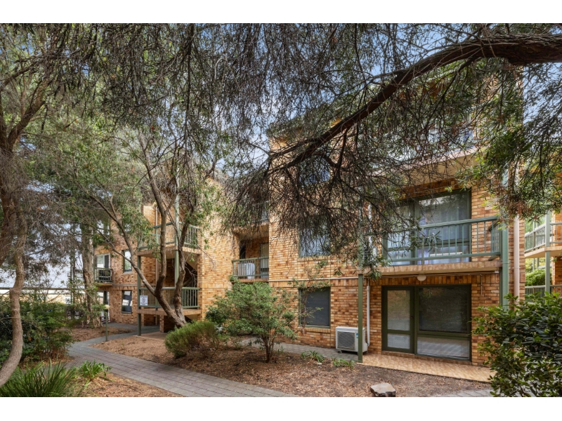 15/22 Cambridge Street, North Adelaide Apartment for rent Listed by