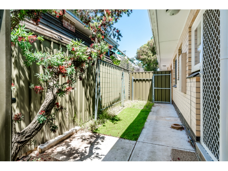 1/4 Holton Street, Glenside Apartment for rent Listed by Shaniah