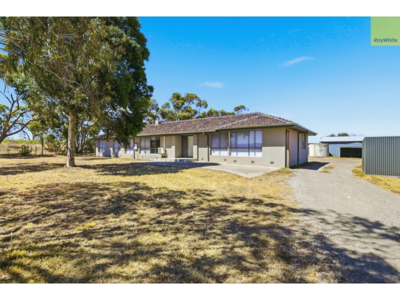 Rental properties & online application form