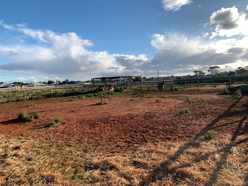 Lt 2784 Speculation Road, SOMERVILLE House for rent Listed by Kathryn State of First National