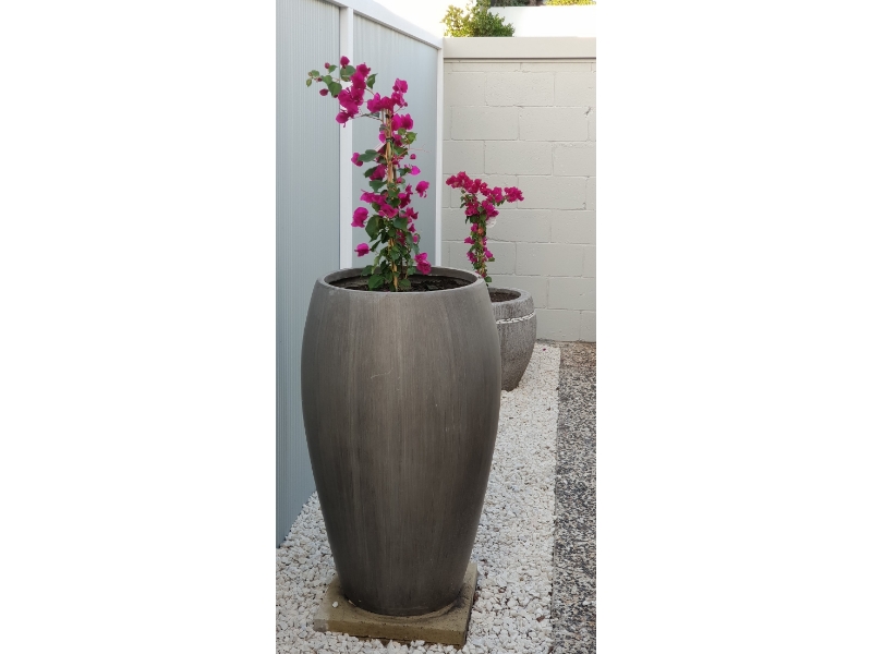 14 Bath Street, Labrador House for rent Listed by Nicholas De Rosa of