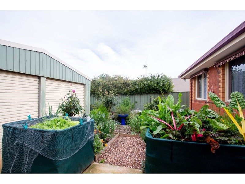 2/90 Farnsworth Street, Castlemaine House for rent Listed by Jennifer