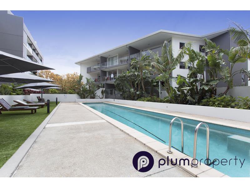 103/95 Clarence Road, Indooroopilly Apartment for rent Listed by