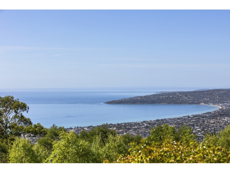 774 Arthurs Seat Road ARTHURS SEAT VIC 3936