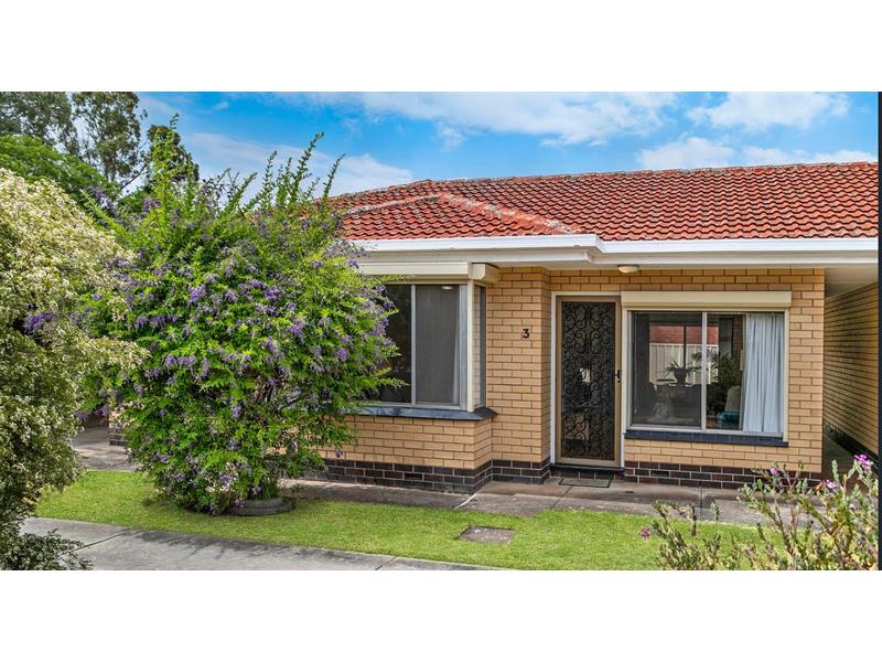 3/10 The Grove, Woodville House for rent Listed by Brenton Dowden. of Irental Property