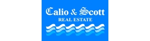 Agent Logo