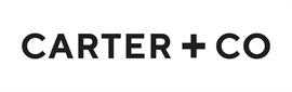 Agent Logo