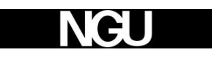 Agent Logo