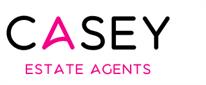 Agent Logo