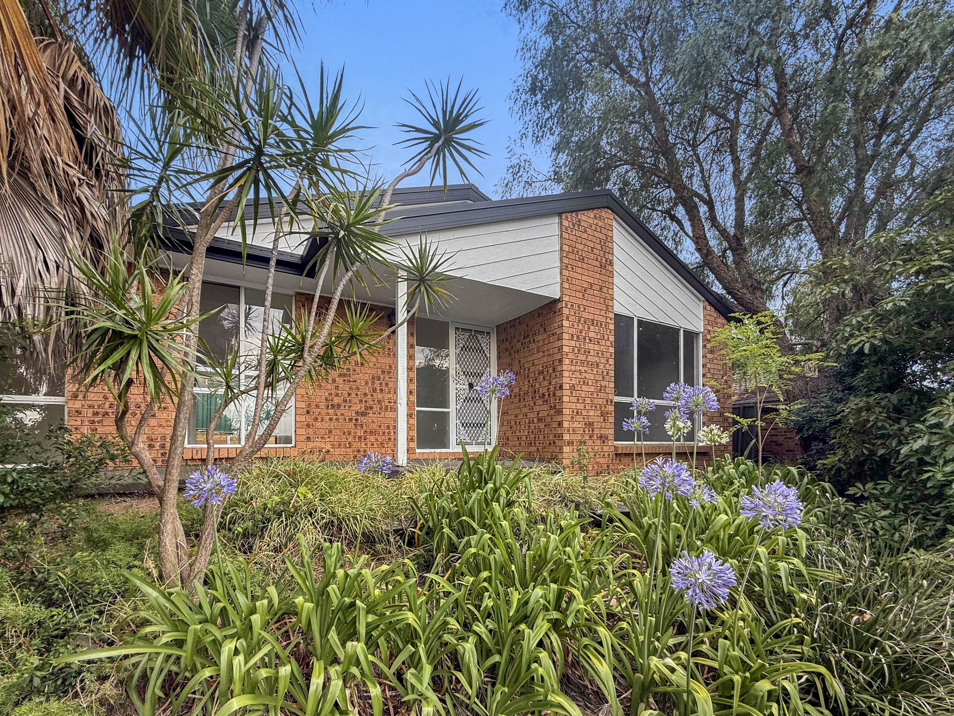 Rental properties & online application form