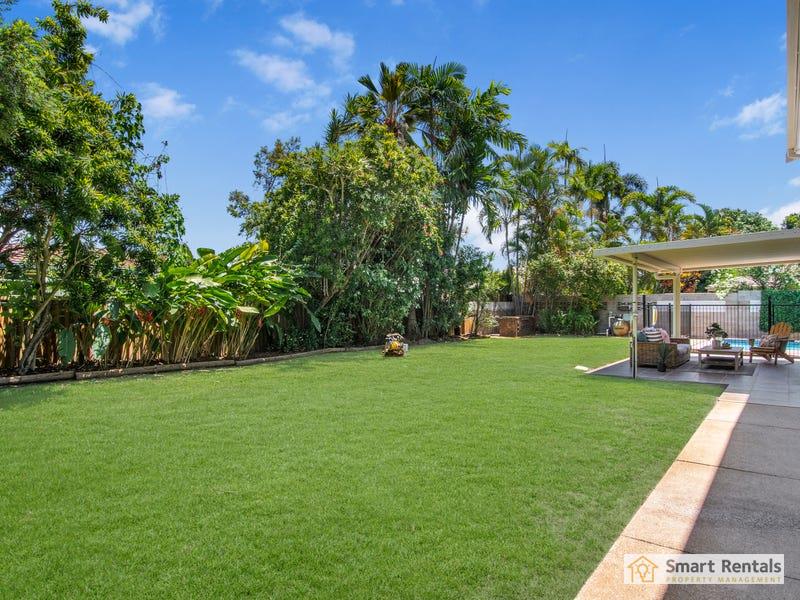 89 Marabou Drive, Annandale, photo 9 of 23