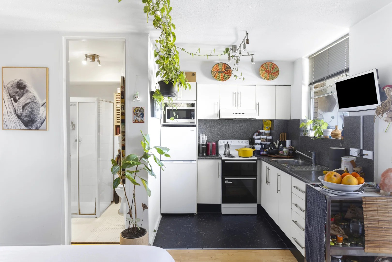 Rental properties & online application form