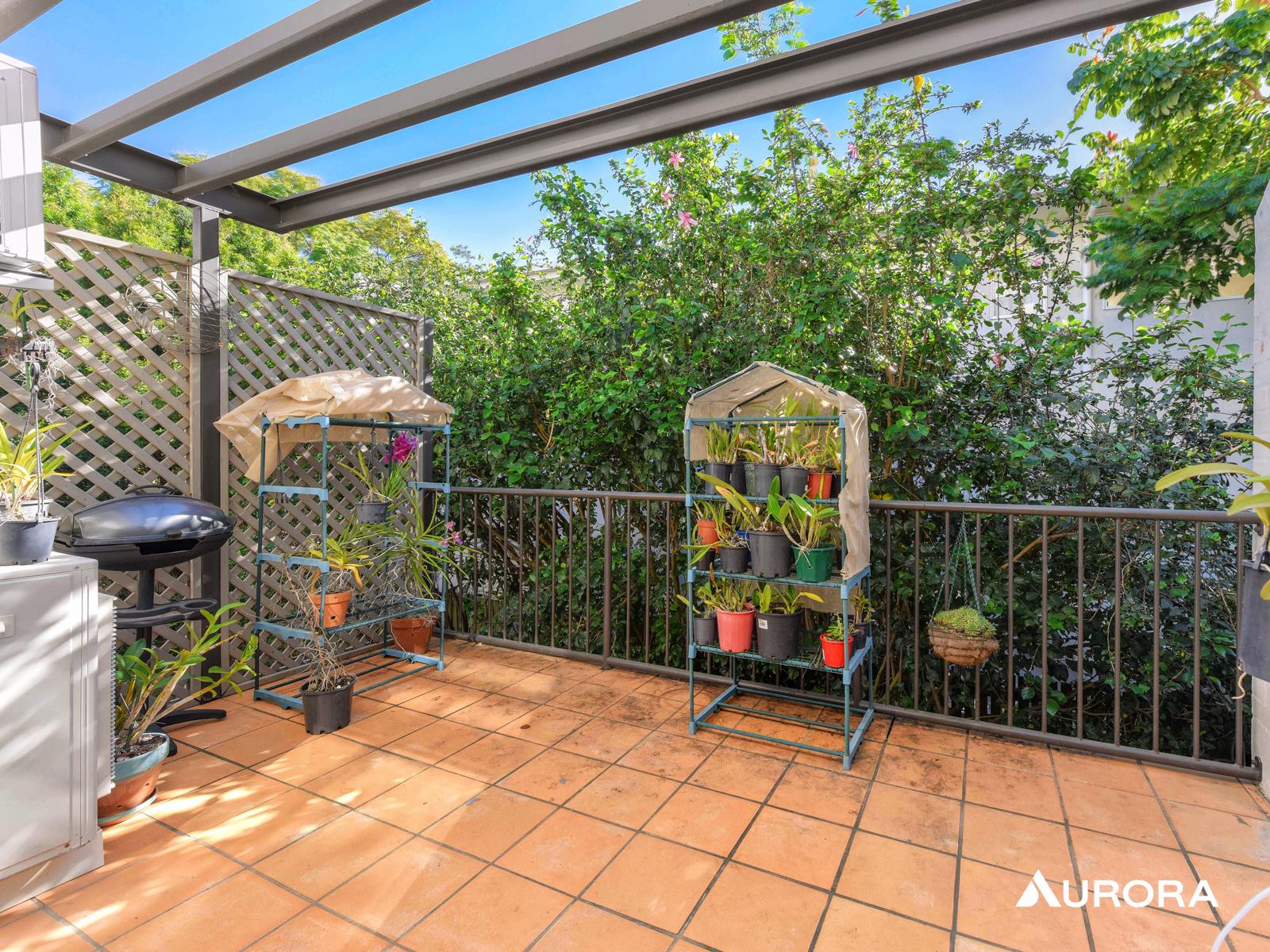 4/26 Vine Street, Ascot Leased by Aurora Property - image 10