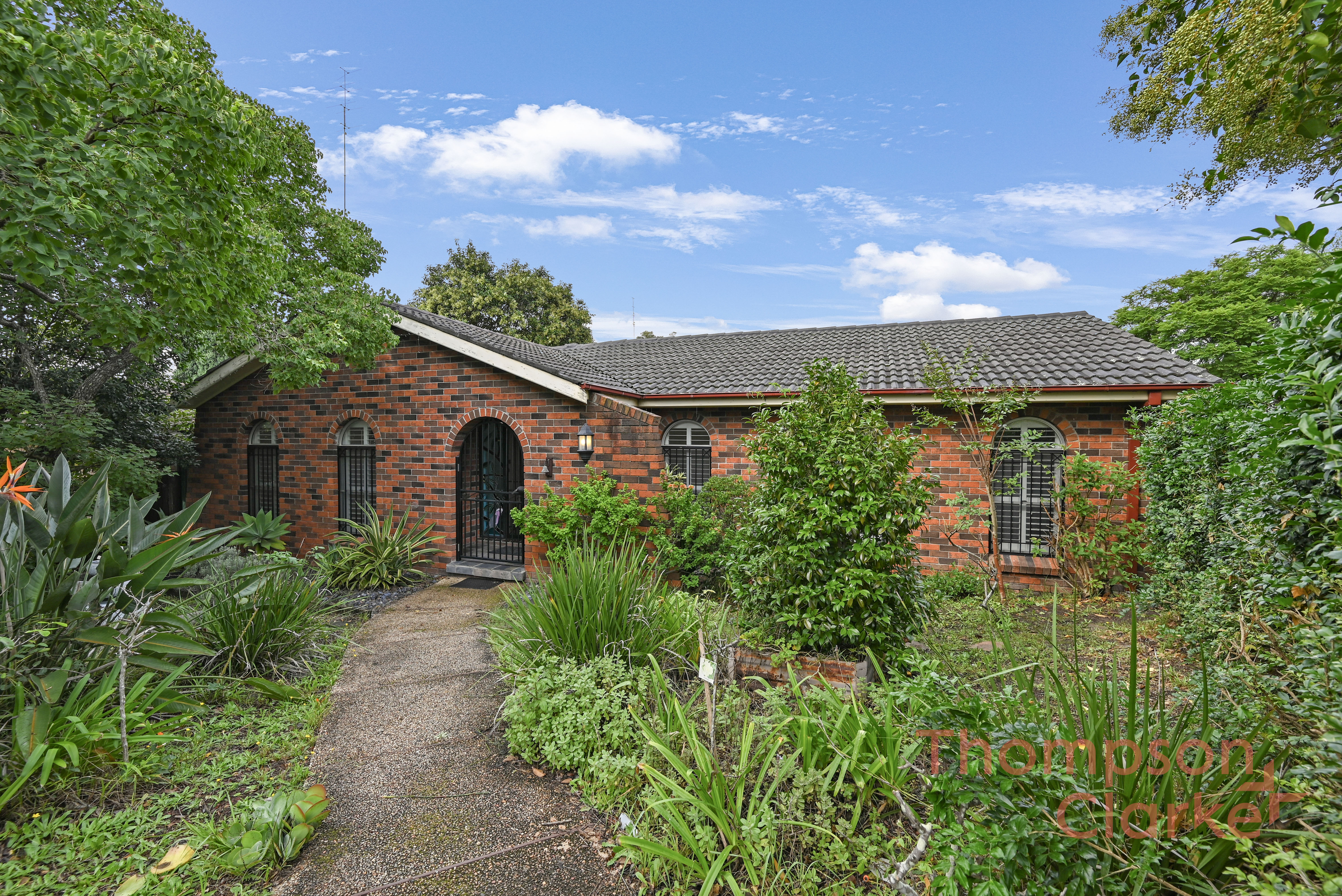 7 Lindeman Street, Ashtonfield - Thumbnail 3