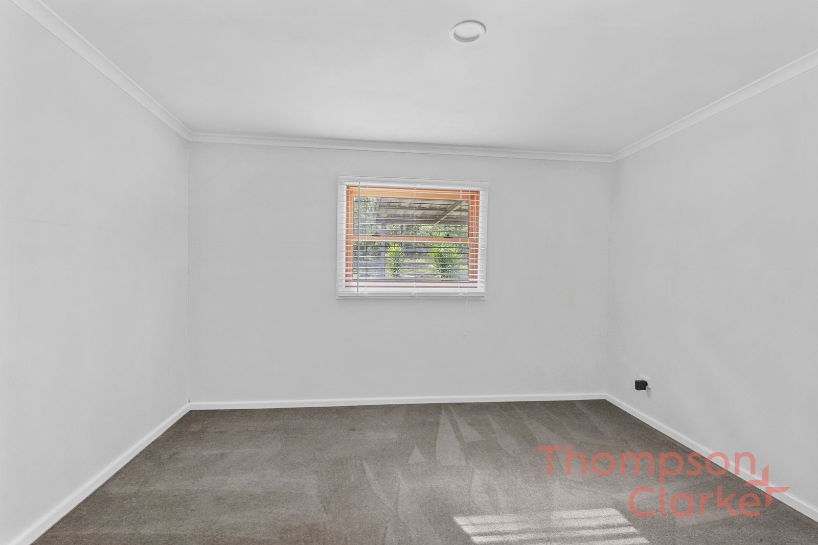 29 Ellalong Road, Pelton - Thumbnail 7