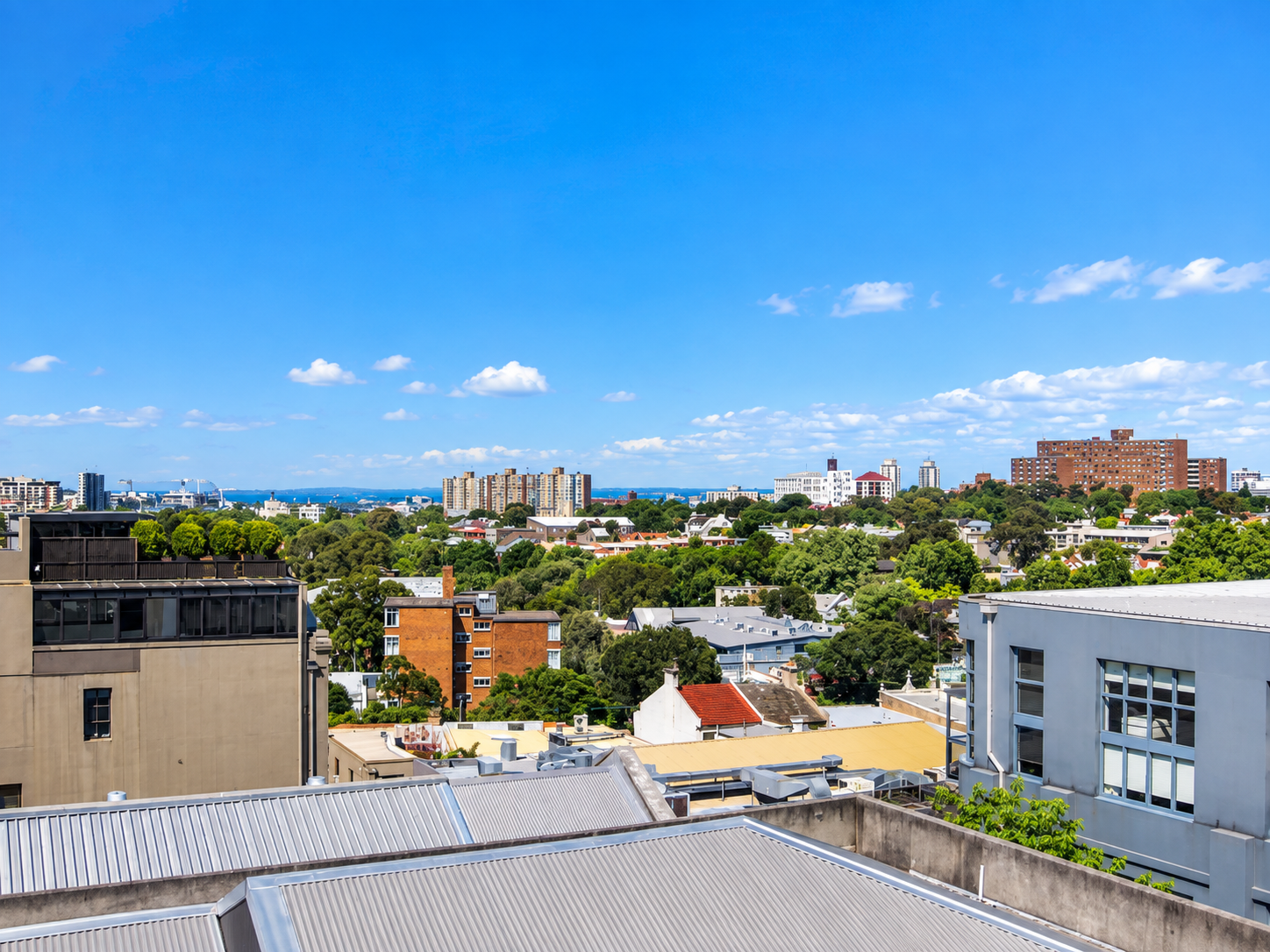 2/99 Flinders Street, Surry Hills Leased by Bradfield Badgerfox - image 1