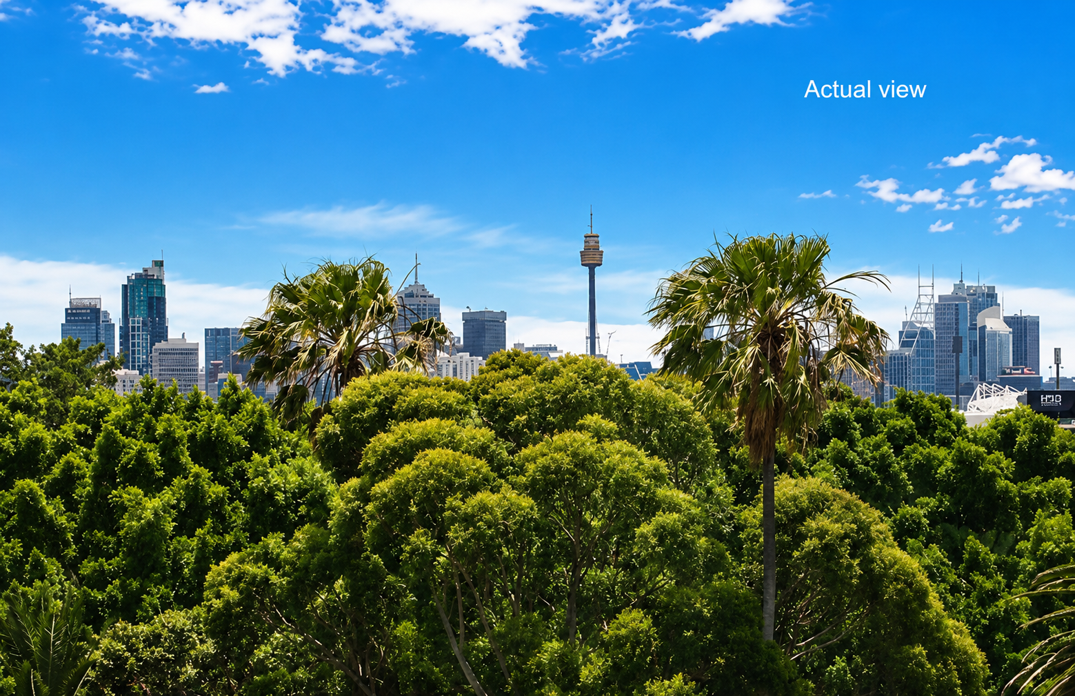 8/2A Bradley Street, Randwick Leased by Bradfield Badgerfox - image 1
