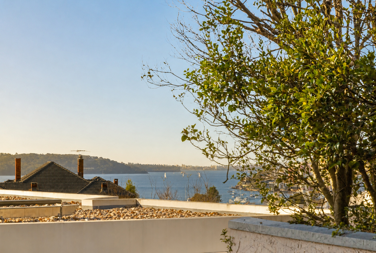 2/359 Edgecliff Road, Edgecliff Leased by Bradfield Badgerfox - image 1