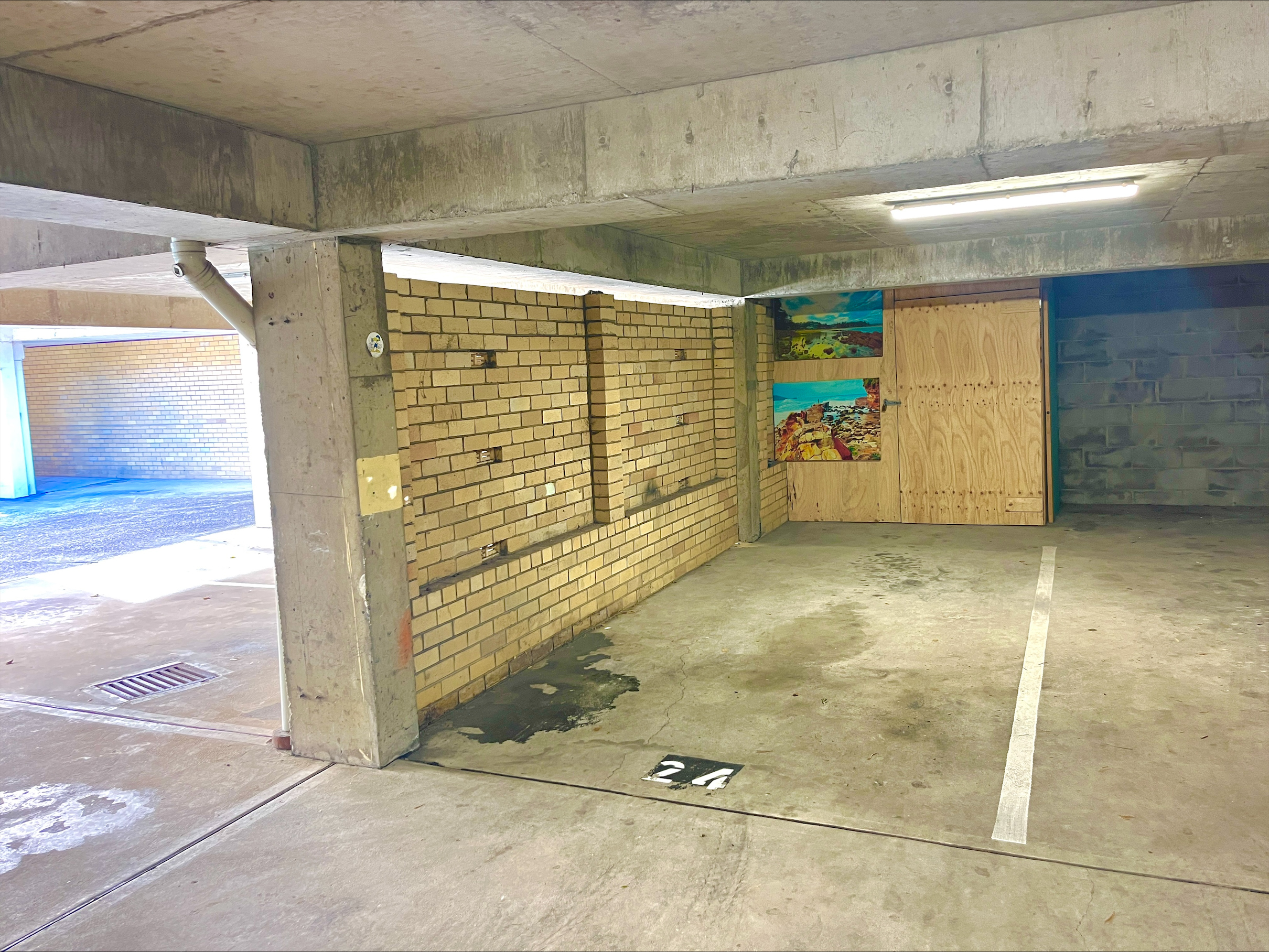 24/38 Macpherson Street, Bronte Leased by Bradfield Badgerfox - image 1