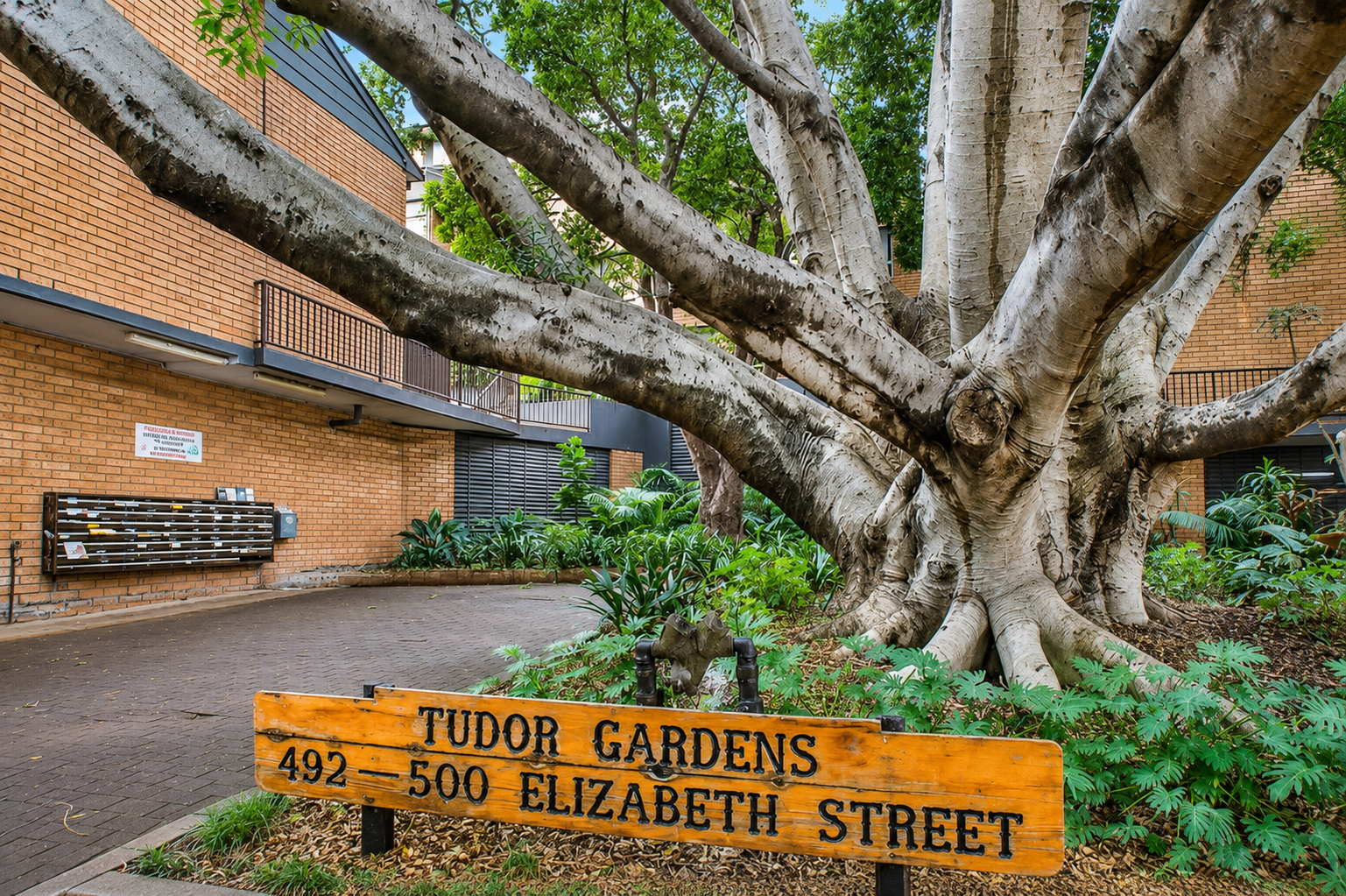 14/492-500 Elizabeth Street, Surry Hills Leased by Bradfield Badgerfox - image 1