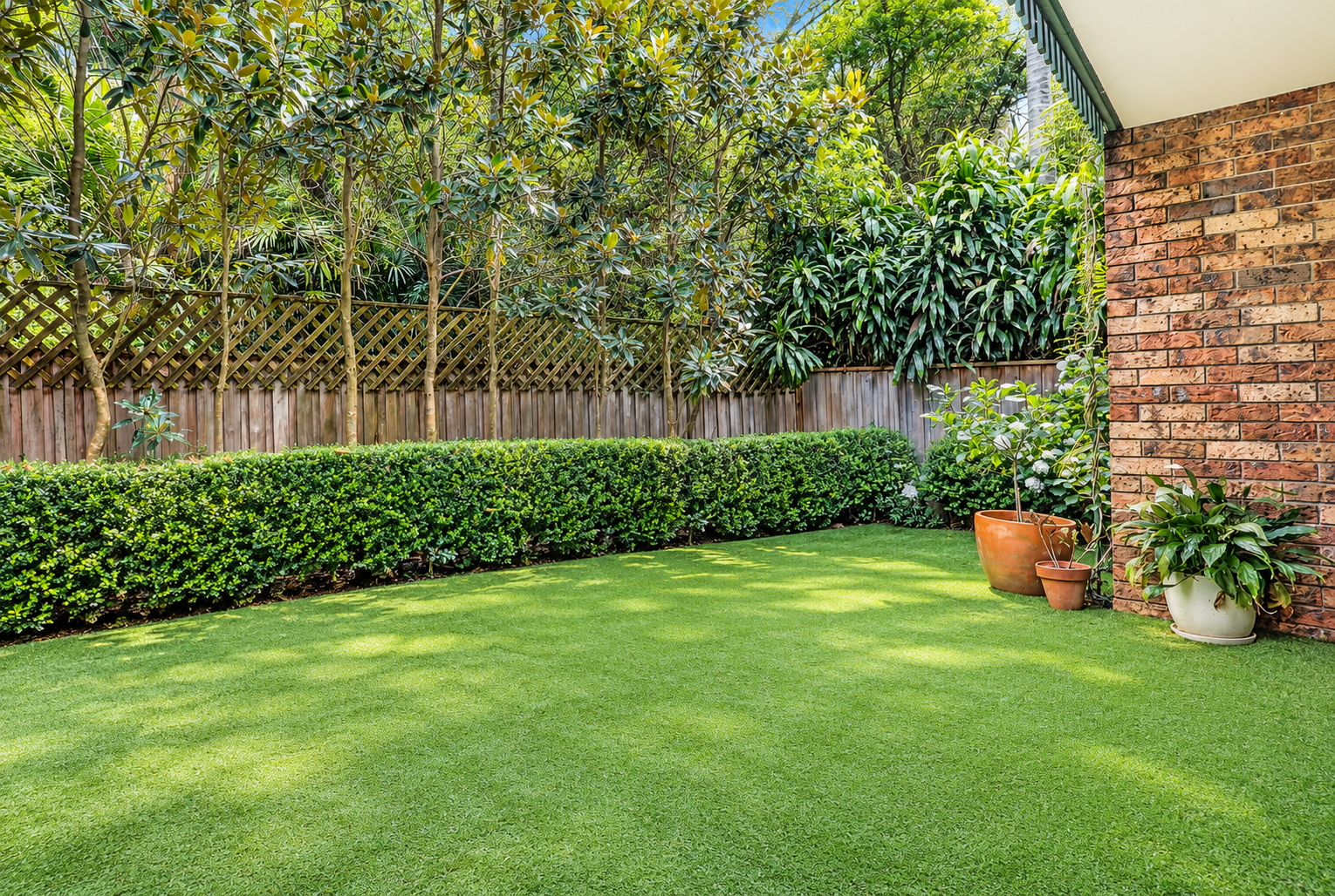 11/17-23 Cecil Street, Paddington For Lease by Bradfield Badgerfox - image 1