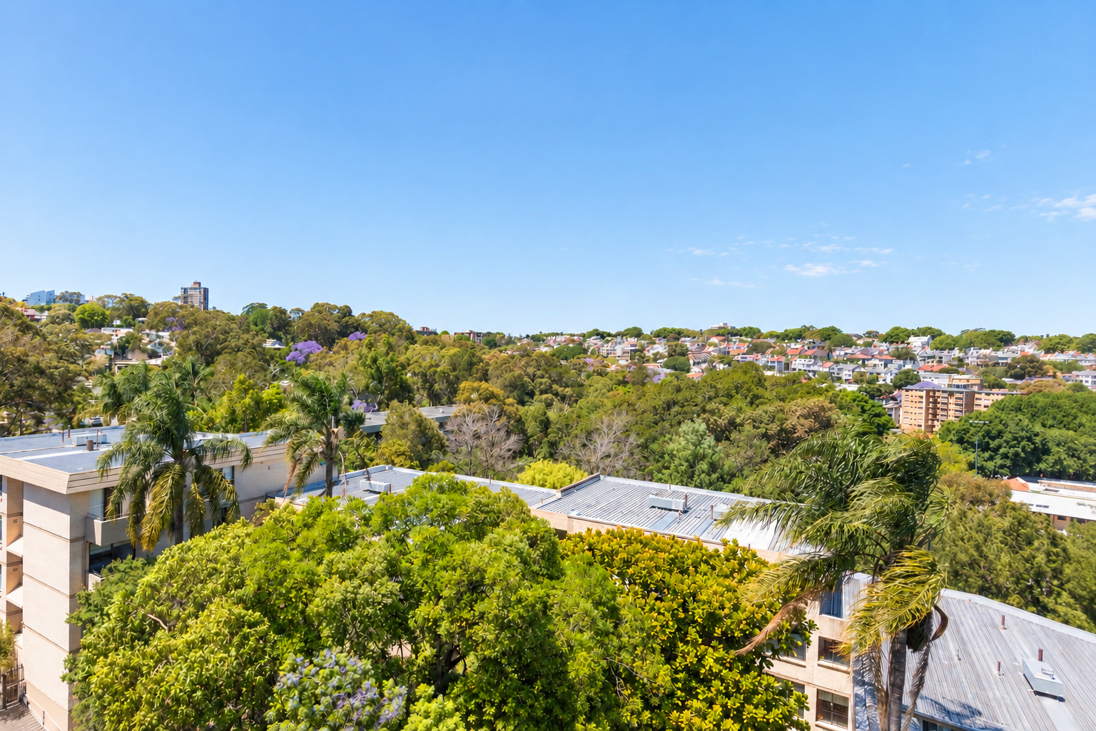 26/2 New McLean Street, Edgecliff Leased by Bradfield Badgerfox - image 1