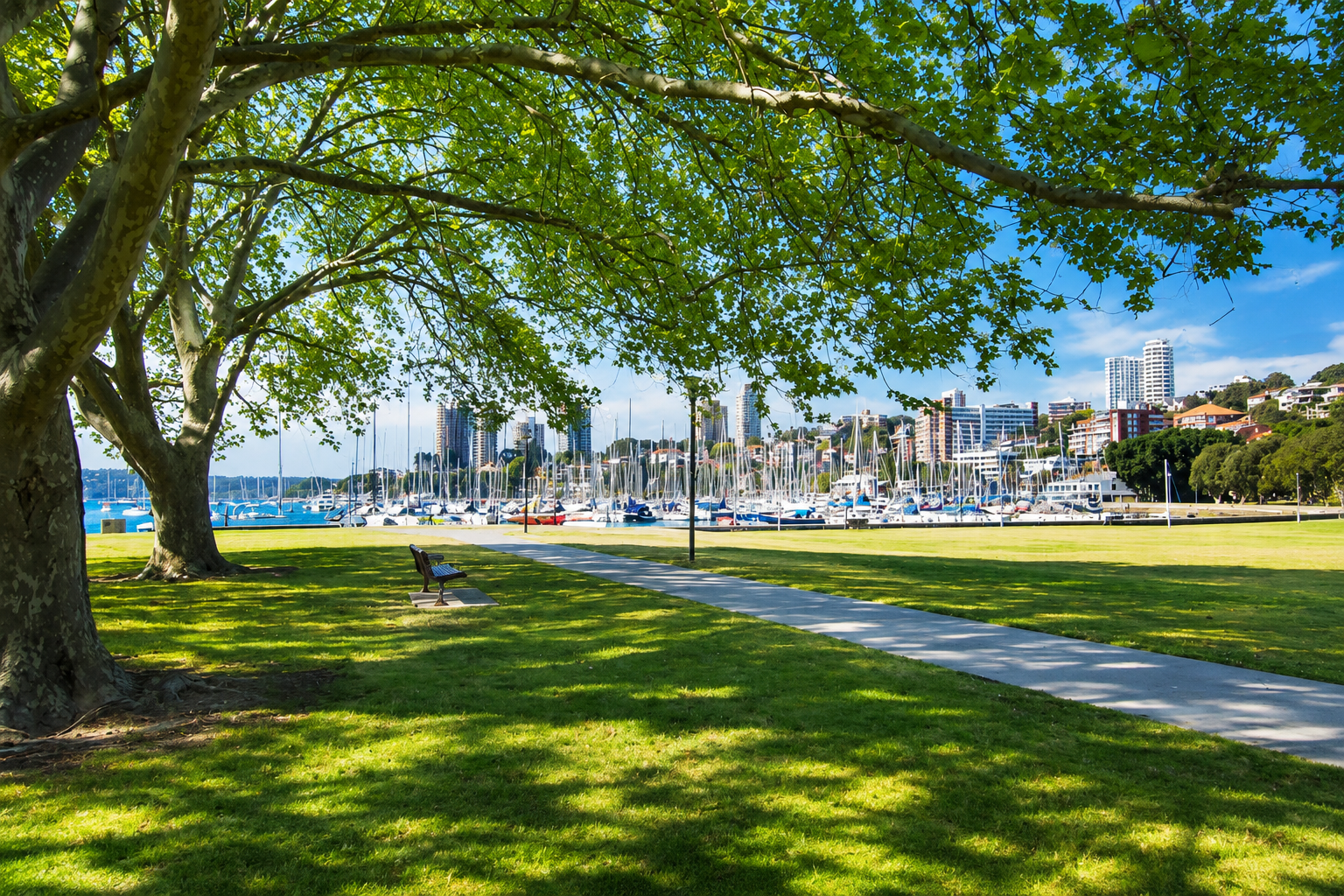7/80 Bayswater Road, Rushcutters Bay Leased by Bradfield Badgerfox - image 1